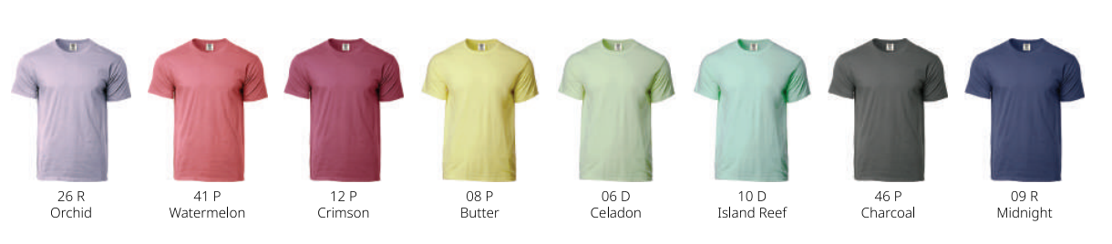 1717 - Comfort Colors Adult T-Shirt 210gsm