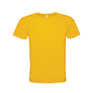 BCK01 - Beam Premium Cotton Short Sleeve T-shirt (Kids)