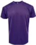 P-901 - Panbasic Adult Round Neck T-Shirt 160gsm