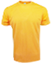 P-901 - Panbasic Adult Round Neck T-Shirt 160gsm
